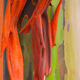 Illustration for article titled These Eucalyptus Trees Look Like They Are Made Of Crayons